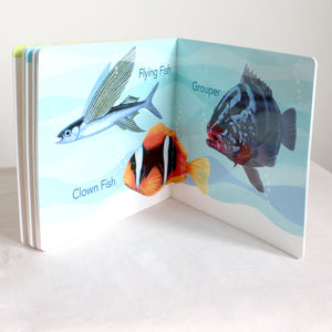 A First Look at Philippine BIRDS, BUTTERFLIES, & FISHES (Board Book Edition)